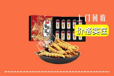 盐城市大丰回收冬虫夏草